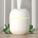 💧 Mini Umidificador Portátil 220ml com Spray e Aromaterapia 🌿