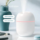 💧 Mini Umidificador Portátil 220ml com Spray e Aromaterapia 🌿