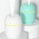 💧 Mini Umidificador Portátil 220ml com Spray e Aromaterapia 🌿