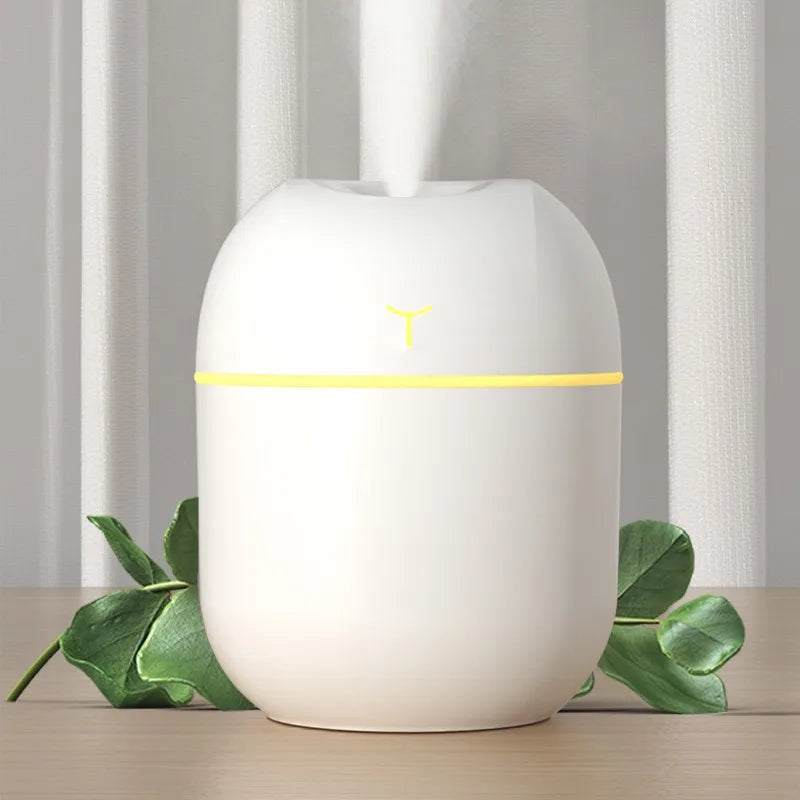💧 Mini Umidificador Portátil 220ml com Spray e Aromaterapia 🌿