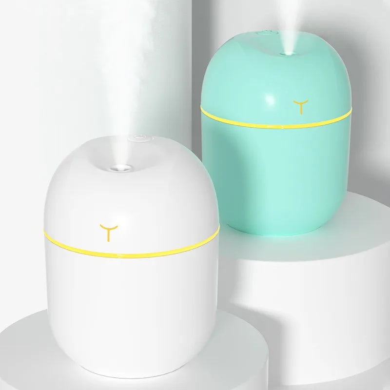💧 Mini Umidificador Portátil 220ml com Spray e Aromaterapia 🌿